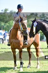 ref. photo 3270045