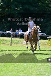 ref. photo 3270062