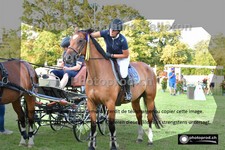 ref. photo 3270071