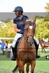 ref. photo 3270078