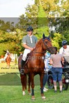 ref. photo 3270091