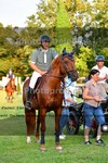 ref. photo 3270092