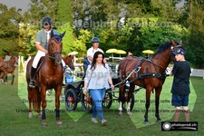 ref. photo 3270094
