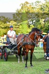 ref. photo 3270100