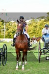 ref. photo 3270119