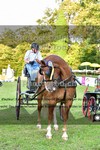 ref. photo 3270121