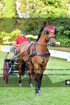 ref. photo 3270124