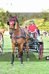 ref. photo 3270126