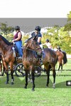 ref. photo 3270132