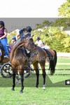 ref. photo 3270133
