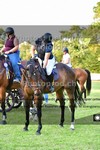 ref. photo 3270134