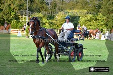 ref. photo 3270153
