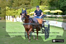 ref. photo 3270159
