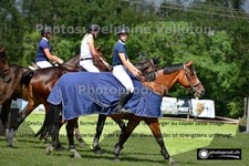 ref. photo 3270187