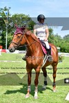 ref. photo 3270203