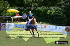 ref. photo 3270211