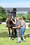 ref. photo 3270237