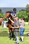 ref. photo 3270247