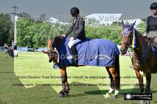 ref. photo 3270248