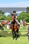 ref. photo 3270251