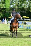 ref. photo 3270273