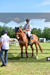 ref. photo 3270335