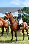 ref. photo 3270351