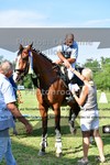 ref. photo 3270390