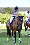 ref. photo 3270428