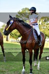 ref. photo 3270429