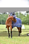 ref. photo 3270488