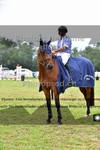 ref. photo 3270499