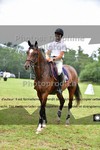 ref. photo 3270504
