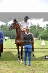 ref. photo 3270507