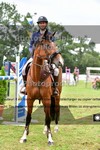 ref. photo 3270522