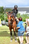 ref. photo 3270555
