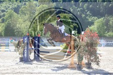 ref. photo 3584054