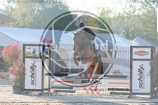 ref. photo 3584111