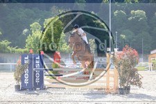 ref. photo 3584193