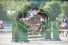 ref. photo 3584194
