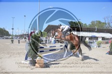 ref. photo 3584608
