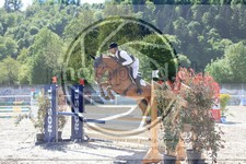 ref. photo 3584972