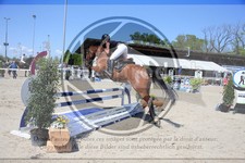 ref. photo 3585199