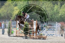 ref. photo 3585251