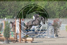 ref. photo 3585306