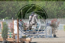 ref. photo 3585353
