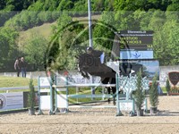 ref. photo 4037905
