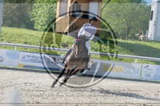 ref. photo 3585598