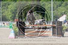 ref. photo 3586182