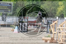 ref. photo 3586350